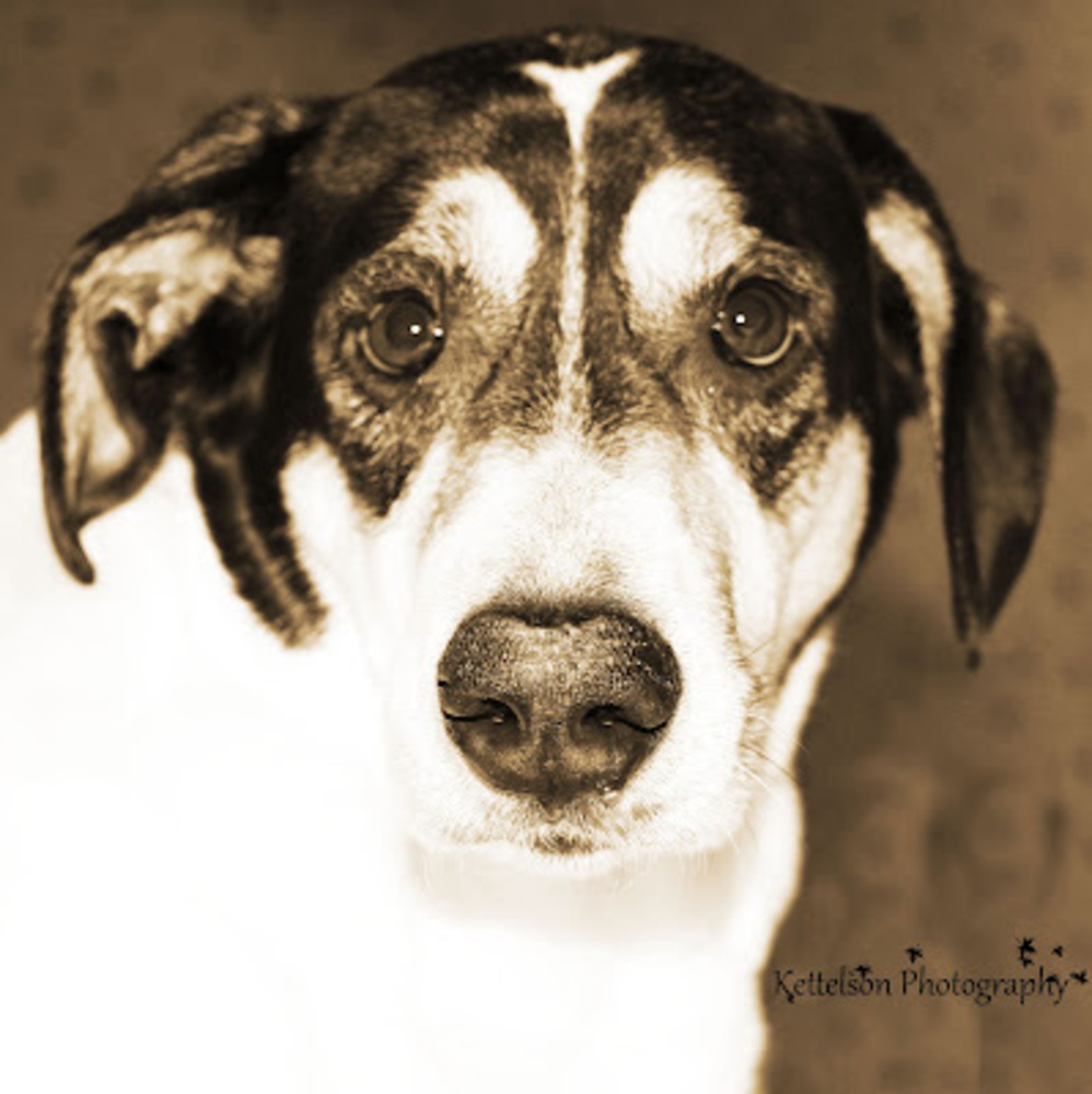 Meet your Posher, Ryann